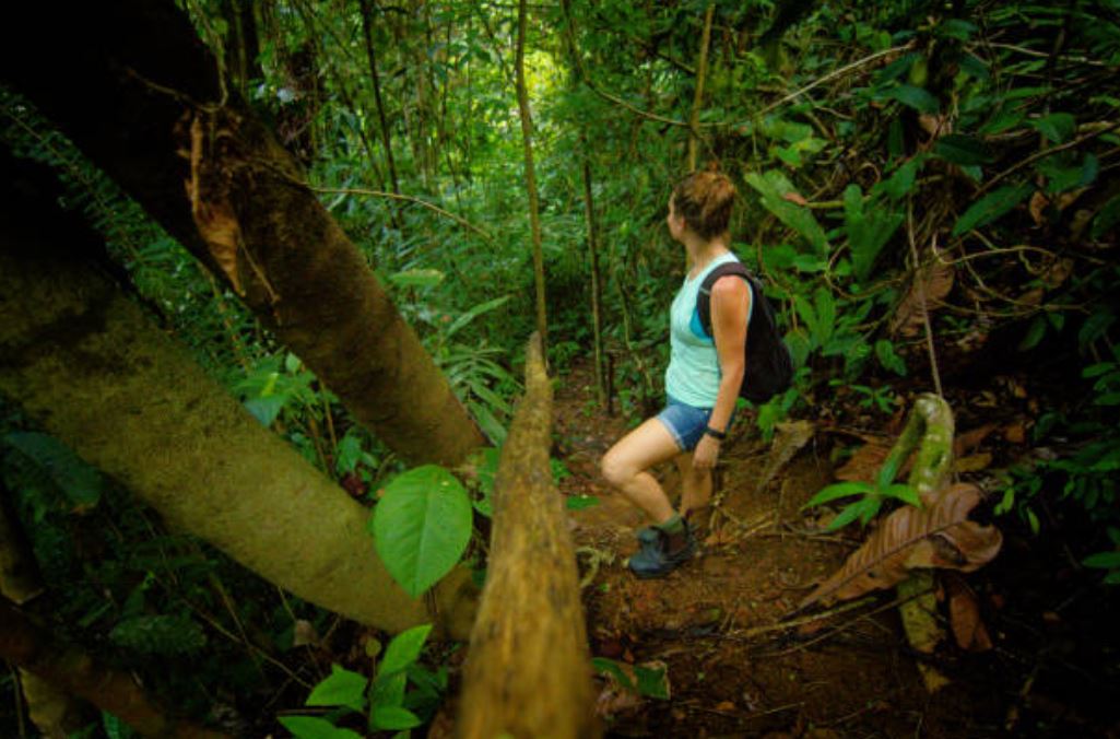 Hiking the forest reserve, Mar Vista